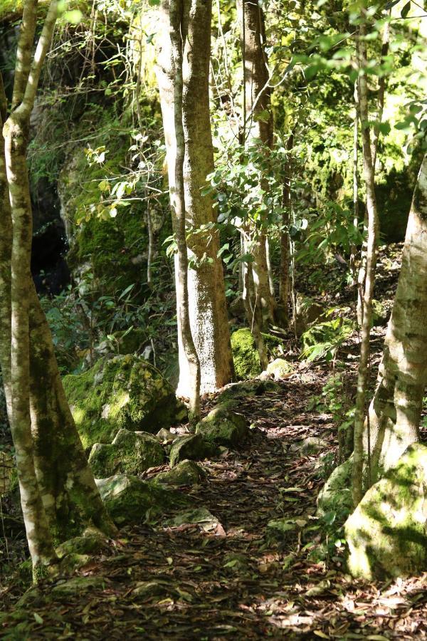 Willa Highlandsview Swellendam Zewnętrze zdjęcie